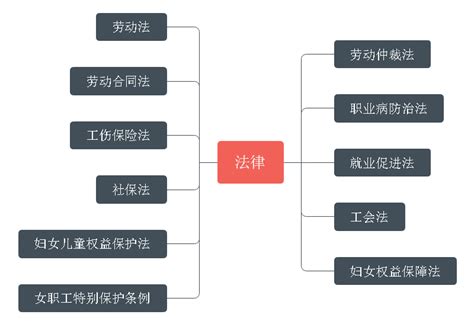 法律职业思维的特点