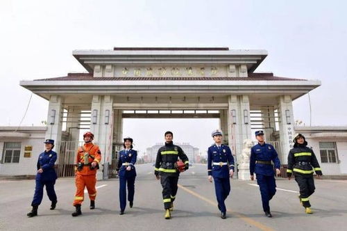 这三类大学在国内具备独一无二的优势