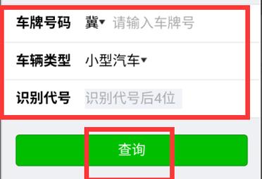 如何通过输入车牌号查询车辆信息？