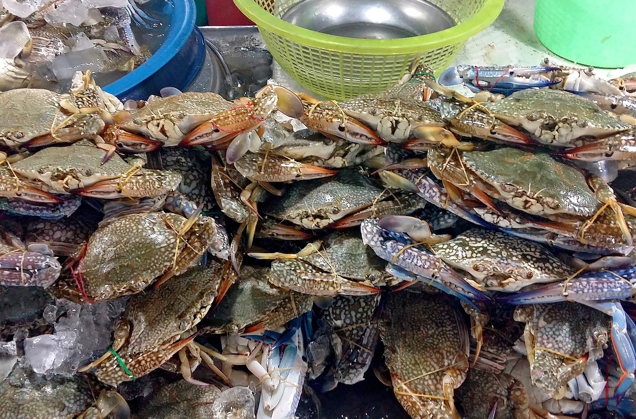 秋日奇缘，柿子与螃蟹的美食盛宴——一场季节的邂逅