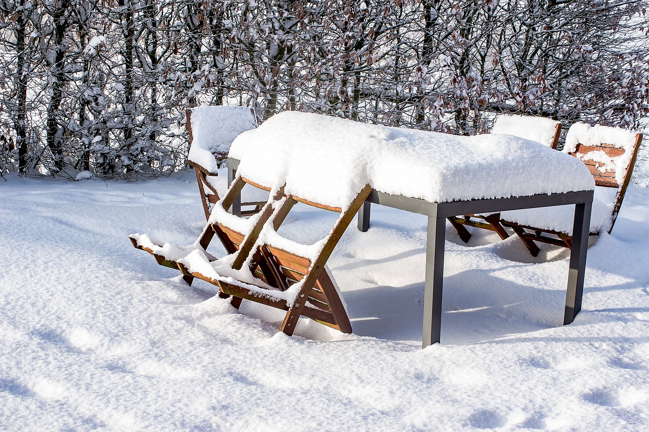 上海下雪了，一场意外的冬日浪漫