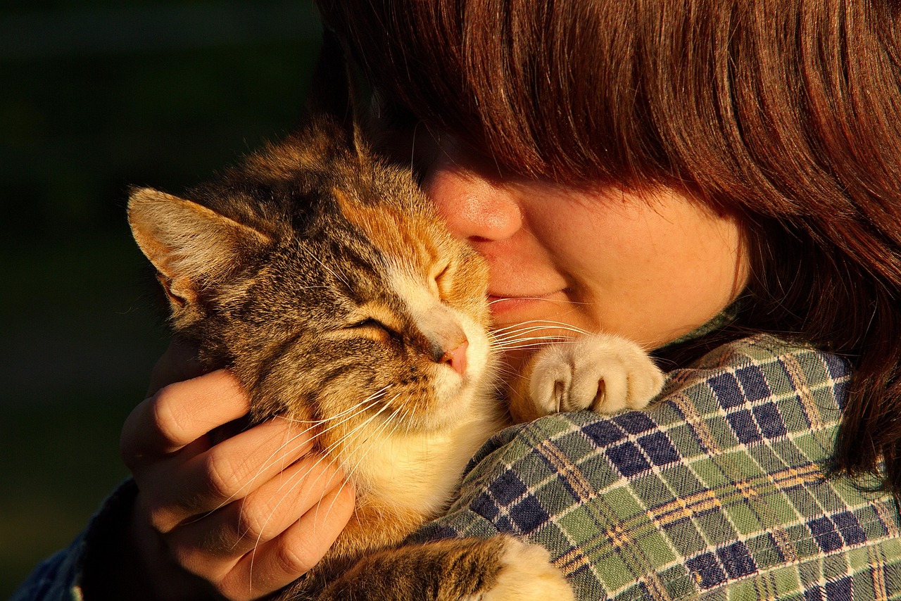 猫狗成一体，猜猜看——猫捉老鼠背后的深意与启示