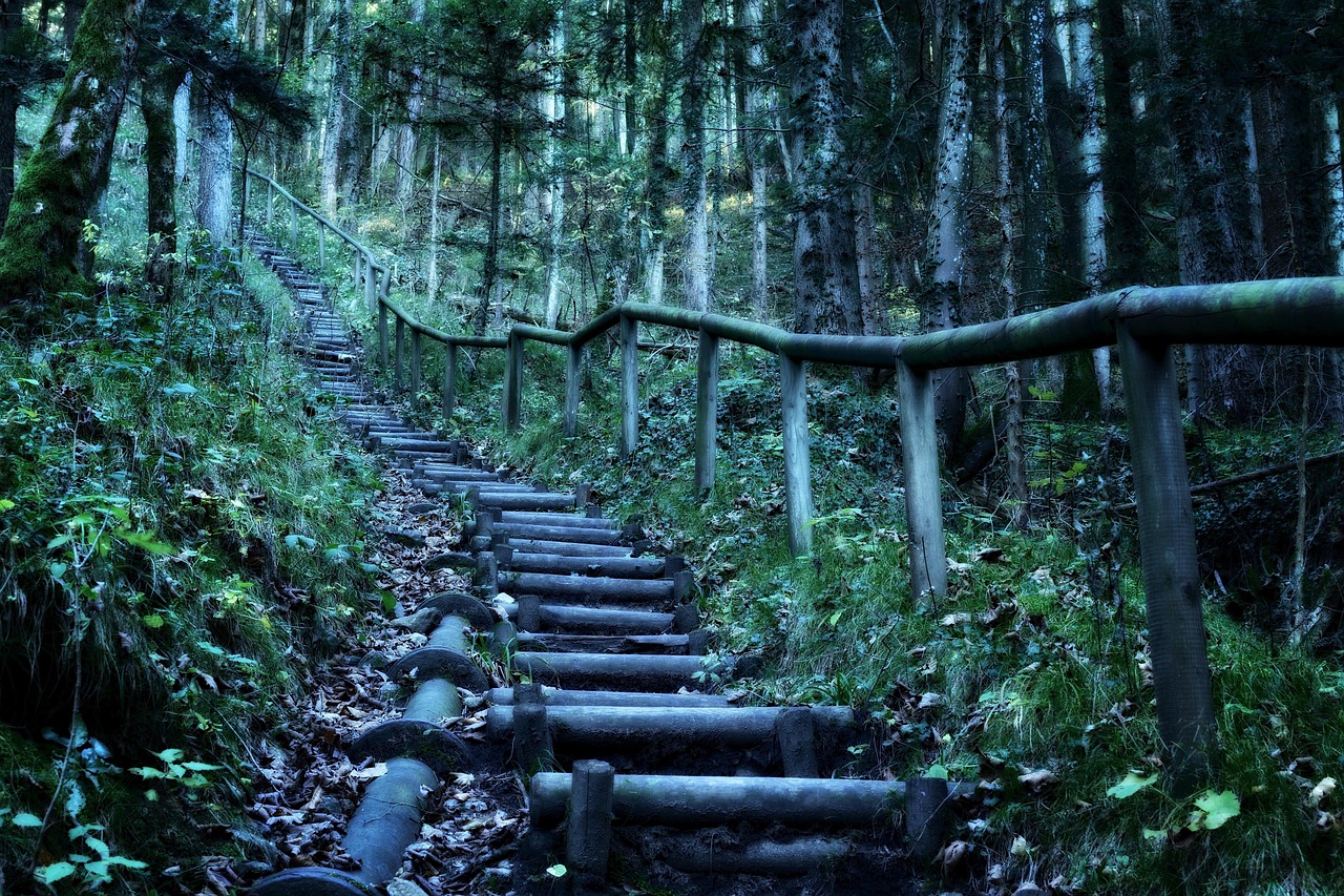 探索自然的韵律，爬山，你的身心健康秘密武器